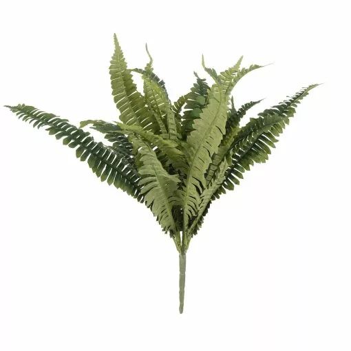 Hot Sale ???? 12 Pack: Boston Fern Bush by Ashland® ???? -Ashland Sales MP309260