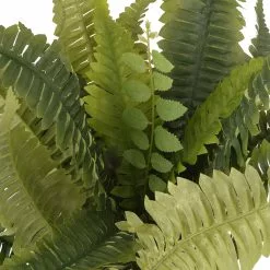 Hot Sale ???? 12 Pack: Boston Fern Bush by Ashland® ???? -Ashland Sales MP309260 2