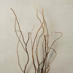 New ???? 12 Pack: Natural Curly Willow by Ashland® ⭐ -Ashland Sales MP312272 25