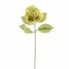 Budget ❤️ 12 Pack: Green Hydrangea Stem by Ashland® ???? -Ashland Sales MP328156 1