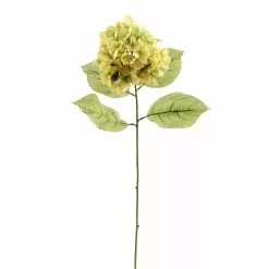 Budget ❤️ 12 Pack: Green Hydrangea Stem by Ashland® ????