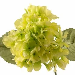Budget ❤️ 12 Pack: Green Hydrangea Stem by Ashland® ???? -Ashland Sales MP328156 20