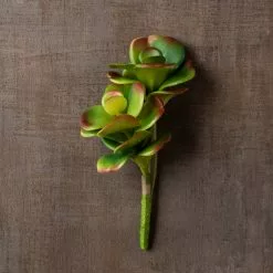 Cheap ⌛ 18 Pack: Green & Orange Succulent Pick by Ashland® ???? -Ashland Sales MP337814 25