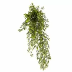 Hot Sale ???? 12 Pack: Green Springeri Fern Bush by Ashland® ????