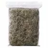 Top 10 ???? 24 Pack: Spanish Moss by Ashland® ???? -Ashland Sales MP349407 1
