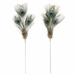 Deals ⭐ 12 Pack: Peacock Feather Picks by Ashland® ????