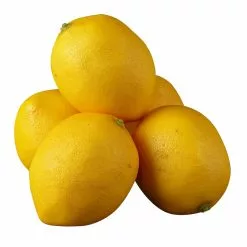 Best Pirce ???? 12 Pack: Garden Fresh Faux Lemons by Ashland® ✨