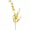 Buy ???? 12 Pack: Yellow Dancing Orchid by Ashland® ???? -Ashland Sales MP381029 1