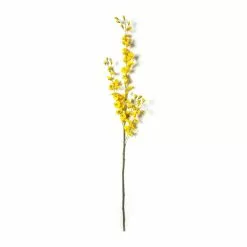 Buy ???? 12 Pack: Yellow Dancing Orchid by Ashland® ???? -Ashland Sales MP381029 21