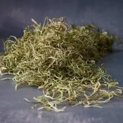 Wholesale ???? 24 Pack: Basil Green Spanish Moss by Ashland® ????