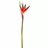 Cheap ???? 12 Pack: Tropical Bird of Paradise Stem by Ashland® ????