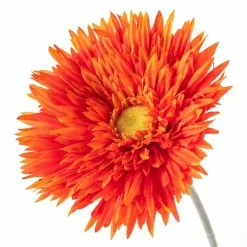 Best Pirce ✨ 12 Pack: Orange Spider Gerbera Daisy Spray by Ashland® ✔️ -Ashland Sales MP392668 20