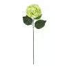 Top 10 ???? 12 Pack: Green Hydrangea Stem by Ashland® ???? -Ashland Sales MP400667 1