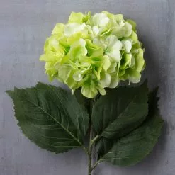 Top 10 ???? 12 Pack: Green Hydrangea Stem by Ashland® ???? -Ashland Sales MP400667 22