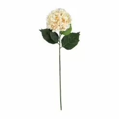 Best deal ???? 12 Pack: Cream Hydrangea Stem by Ashland® ????