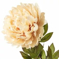 New ???? 12 Pack: Cream Peony Stem by Ashland® ???? -Ashland Sales MP402091 20