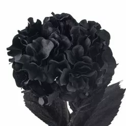 Discount ❤️ 12 Pack: Black Hydrangea Stem by Ashland® ???? -Ashland Sales MP402858 20