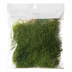 Best reviews of ???? 12 Pack: Forest Green Preserved Moss by Ashland® ????