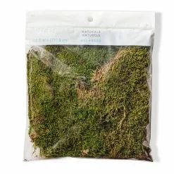 Best reviews of ???? 12 Pack: Forest Green Preserved Moss by Ashland® ???? -Ashland Sales MP407975 20