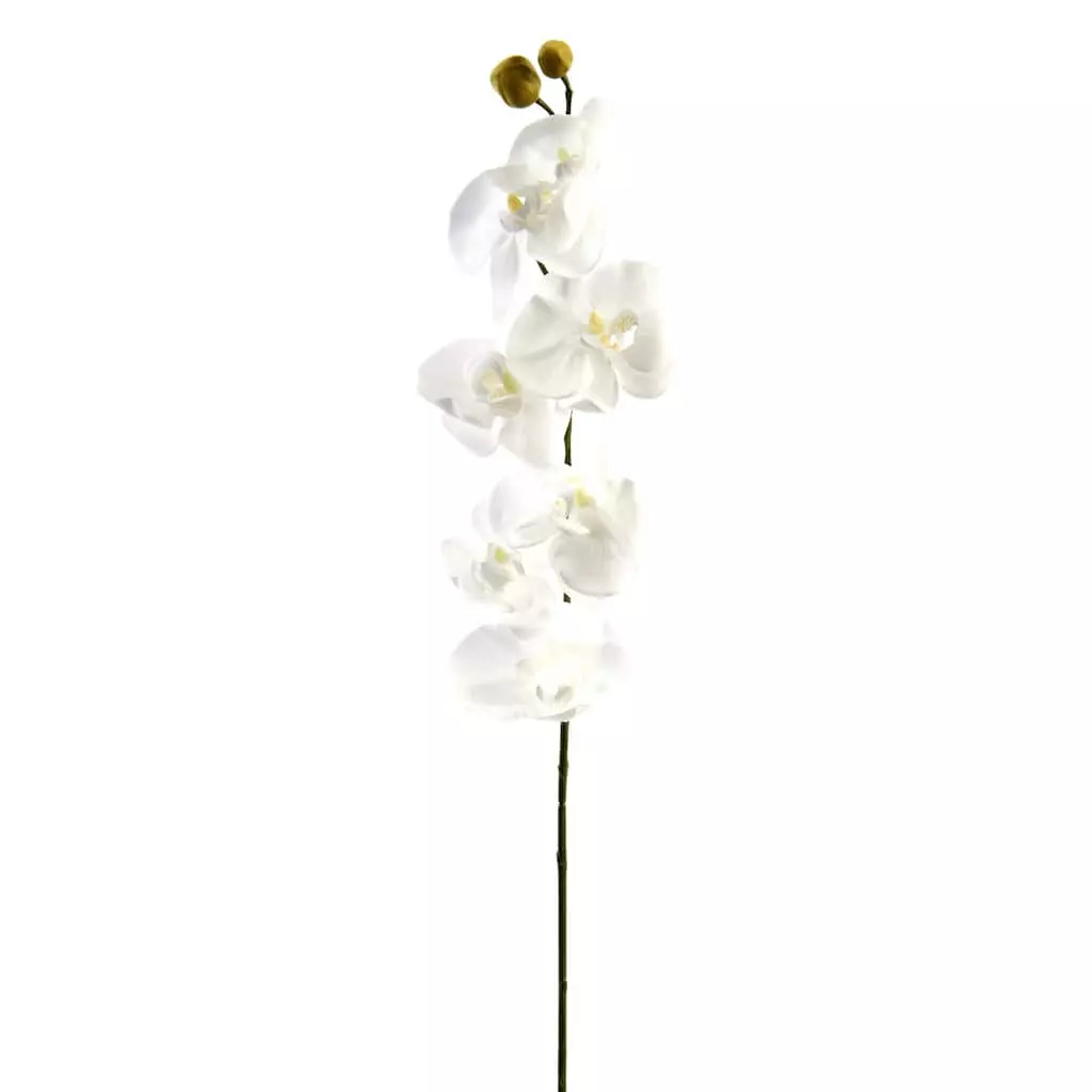 Brand new ???? 16 Pack: White Moth Orchid Stem by Ashland® ???? 3 Brand new ???? 16 Pack: White Moth Orchid Stem by Ashland® ????
