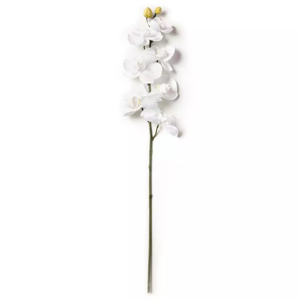 Brand new ???? 16 Pack: White Moth Orchid Stem by Ashland® ???? 4 Brand new ???? 16 Pack: White Moth Orchid Stem by Ashland® ???? - Image 2