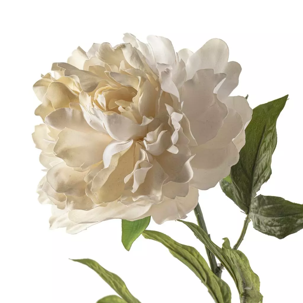 New ???? 12 Pack: White Peony Spray by Ashland® ???? 5 New ???? 12 Pack: White Peony Spray by Ashland® ???? - Image 3