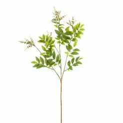 Best deal ???? 6 Pack: Cream Hybrid Spirea Spray by Ashland® ✨