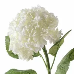 Brand new ✨ 8 Pack: Cream Hydrangea Stem by Ashland® ❤️ -Ashland Sales MP430287 20