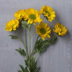 Cheap ???? 12 Pack: Gold Daisy Mum Spray by Ashland® ???? -Ashland Sales MP430308 22