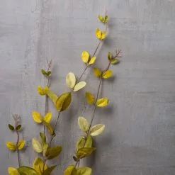 Hot Sale ❤️ 12 Pack: Honeysuckle Leaf Spray by Ashland® ???? -Ashland Sales MP430396 22