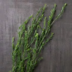 Cheap ???? 12 Pack: Green Trailing Grass Spray by Ashland® ???? -Ashland Sales MP449806 22