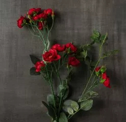 Cheapest ???? 12 Pack: Dark Red Kate Rose Spray by Ashland® ???? -Ashland Sales MP451131 25