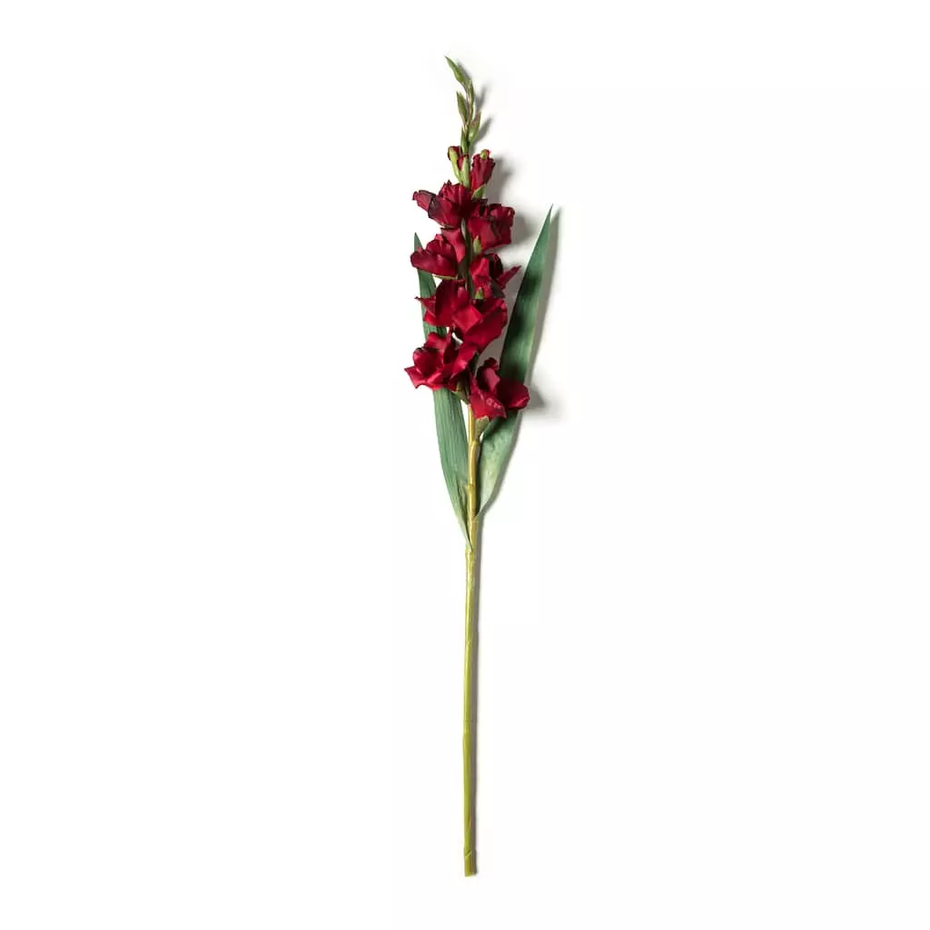 Hot Sale ???? 12 Pack: Burgundy Gladiolus Stem by Ashland® ✨ 4 Hot Sale ???? 12 Pack: Burgundy Gladiolus Stem by Ashland® ✨ - Image 2
