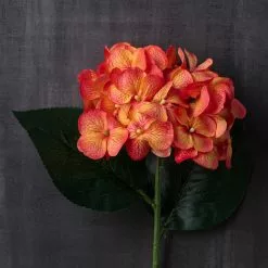 Flash Sale ???? 12 Pack: Orange Hydrangea Stem by Ashland® ???? -Ashland Sales MP451157 22