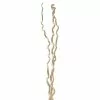 Hot Sale ???? 6 Pack: Cream Curly Willow Branch Bundle by Ashland® ???? 2 Hot Sale ???? 6 Pack: Cream Curly Willow Branch Bundle by Ashland® ???? -Ashland Sales MP453494 2