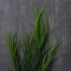 Discount ???? 12 Pack: Assorted Green Grass Bush by Ashland® ???? -Ashland Sales MP454490 22