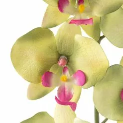 Top 10 ???? 12 Pack: Green & Pink Orchid Spray by Ashland® ???? -Ashland Sales MP459035 20