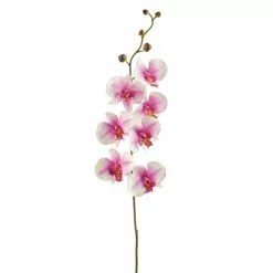 Coupon ⌛ 12 Pack: Pink & White Orchid Spray by Ashland® ????
