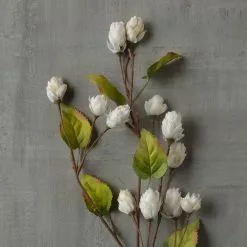 New ???? 12 Pack: Cream Hops Spray by Ashland® ???? -Ashland Sales MP461196 25