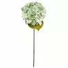 Brand new ⌛ 12 Pack: Seafoam Green Hydrangea Stem by Ashland® ???? 1 Brand new ⌛ 12 Pack: Seafoam Green Hydrangea Stem by Ashland® ???? -Ashland Sales MP461200 1