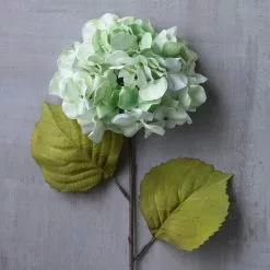 Brand new ⌛ 12 Pack: Seafoam Green Hydrangea Stem by Ashland® ???? -Ashland Sales MP461200 22