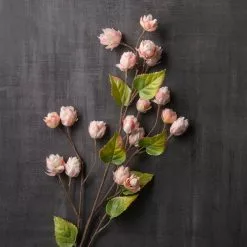 Deals ???? 12 Pack: Blush Hops Stem by Ashland® ???? -Ashland Sales MP461606 22