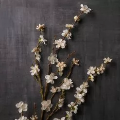 Buy ❤️ 12 Pack: Cream Peach Blossom Stem by Ashland® ???? -Ashland Sales MP468902 22