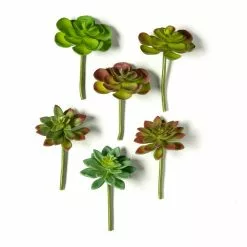 Discount ???? 12 Pack: Assorted Snap-On Succulent Pick by Ashland® ???? -Ashland Sales MP482105 21