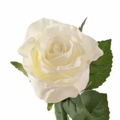 Best reviews of ✔️ 12 Pack: White Faux Rose by Ashland® ✨ -Ashland Sales MP501466 20