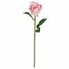 Best reviews of ???? 12 Pack: Light Pink Faux Rose by Ashland® ???? -Ashland Sales MP501467 1