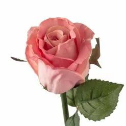 Best reviews of ???? 12 Pack: Light Pink Faux Rose by Ashland® ???? -Ashland Sales MP501467 20