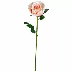 Cheapest ???? 12 Pack: Coral Faux Rose by Ashland® ????