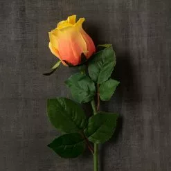 Wholesale ???? 12 Pack: Peach Faux Rose by Ashland® ???? -Ashland Sales MP501471 25