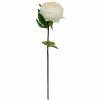 Best reviews of ✔️ 12 Pack: White King Peony Stem by Ashland® ???? -Ashland Sales MP501479 1